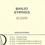 Acorde Banjo Strings Back